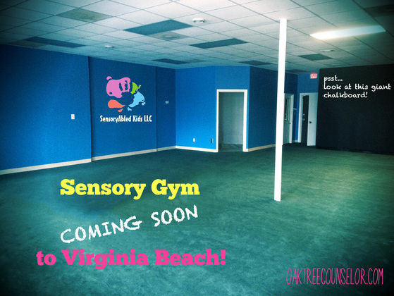 SensoryAbled Kids Sensory Gym is coming in August to Virginia Beach!
